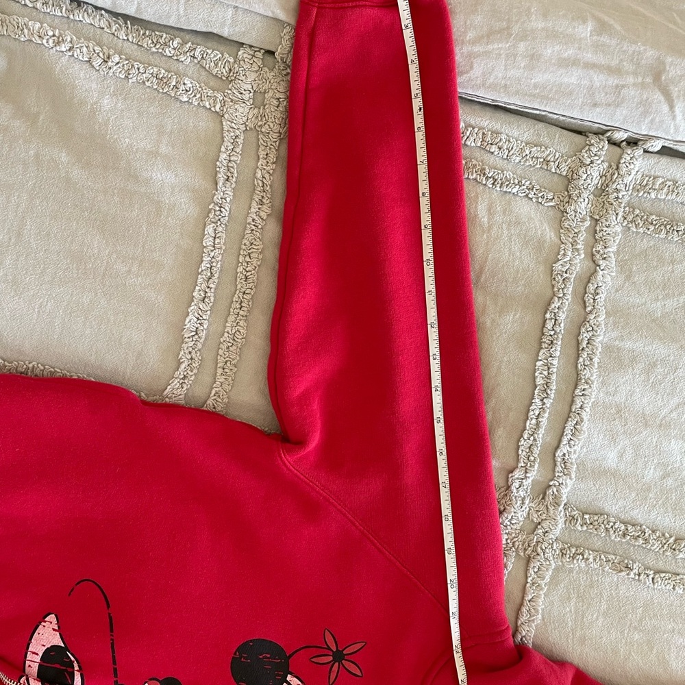 🏰Tokyo Disney Resort Minnie Zip-up Hoodie - Picture 5 of 6